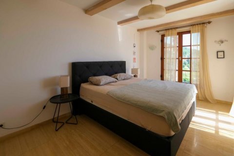 Villa  i Tepe, Alanya, Antalya, Turkiet Nr. 210254 - 11