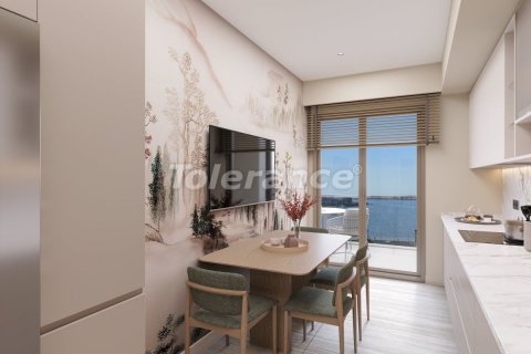 1+1 Wohnung  in Istanbul, Türkei Nr. 210529 - 15