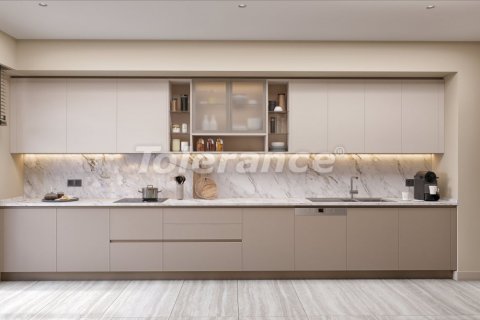 1+1 Wohnung  in Istanbul, Türkei Nr. 210529 - 14