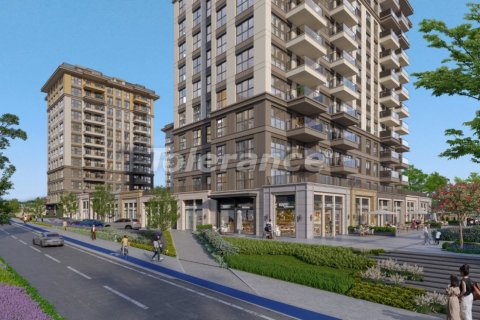 1+1 Wohnung  in Istanbul, Türkei Nr. 210529 - 2