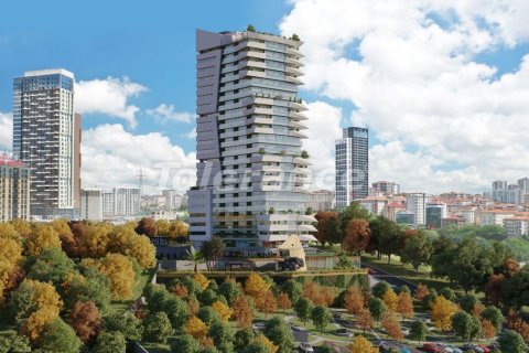 1+1 Wohnung in Istanbul, Türkei Nr. 210528 - 3