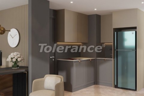 1+1 Wohnung in Istanbul, Türkei Nr. 210528 - 14