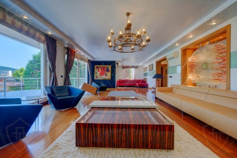 Villa 6+1 İstanbul, Türkiye №131204 - 13