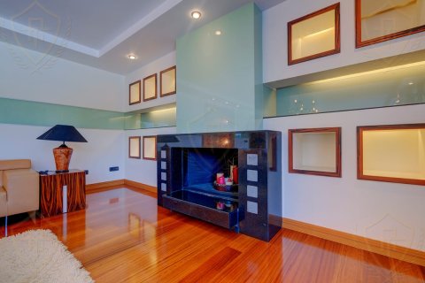 6+1 Villa in Istanbul, Turkey No. 131204