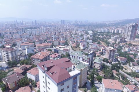 1+1 Leilighet i Istanbul, Tyrkia Nr. 111716 - 8
