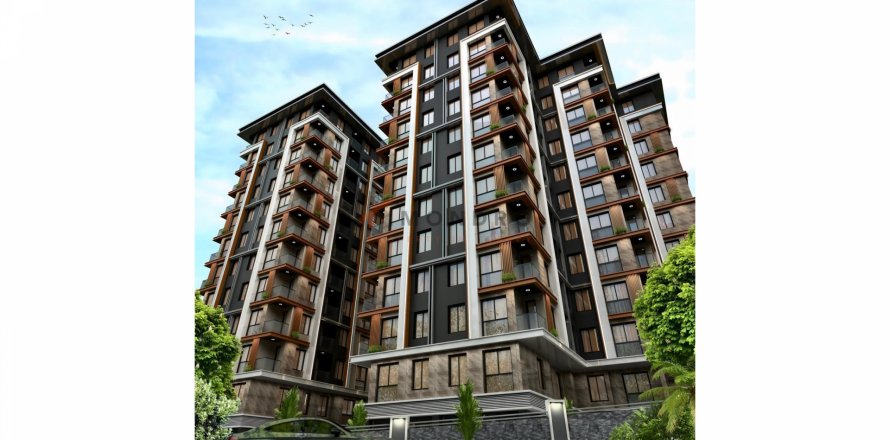 Daire  5+1  Eyüp, İstanbul, Türkiye №193734