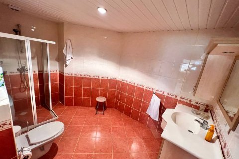 4+1 Lägenhet i Oba, Antalya, Turkiet Nr. 114621 - 20