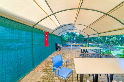 4+1 Lägenhet i Oba, Antalya, Turkiet Nr. 114621 - 7