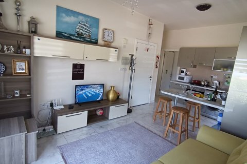 1+1 Lejlighed  i  Nr. 145807 - 29