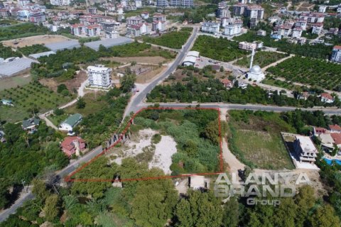 1+1 Leilighet i Alanya, Antalya, Tyrkia Nr. 142070 - 19