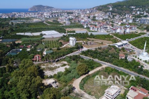 1+1 Leilighet i Alanya, Antalya, Tyrkia Nr. 142070 - 20
