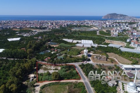 1+1 Leilighet i Alanya, Antalya, Tyrkia Nr. 142070 - 5