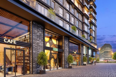 2+1 Leilighet  i Istanbul, Tyrkia Nr. 147837 - 3