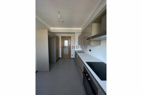 3+1 Lägenhet i Kadikoy, Istanbul, istanbul, Turkiet Nr. 193980 - 12