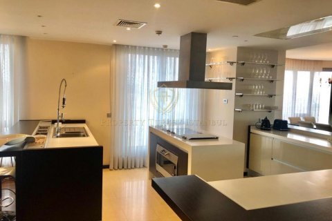 پنت هاس در  Istanbul ، ترکیه 5 خوابه ، 490 متر مربع.  شماره 148199 - 12