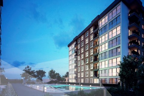 Nestra Aydos  i Pendik, Istanbul, Tyrkiet Nr.145510 - 5