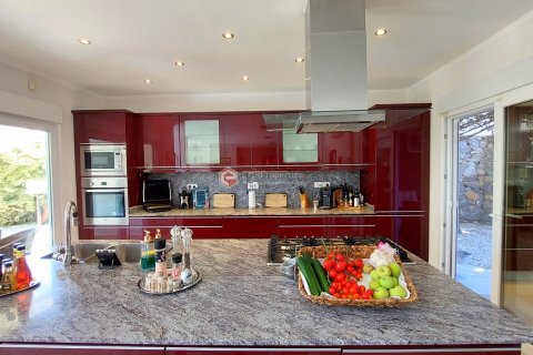 3+2 Villa  i Alanya, Antalya, Turkiet Nr. 144375 - 19