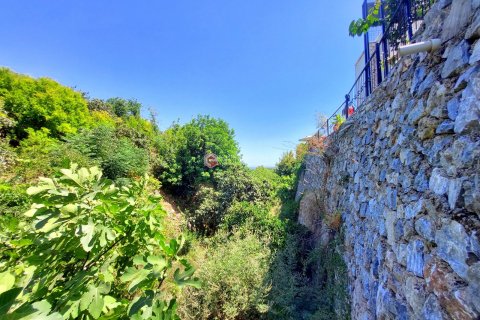 3+2 Villa  i Alanya, Antalya, Turkiet Nr. 144375 - 11