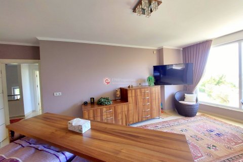 3+2 Villa  i Alanya, Antalya, Turkiet Nr. 144375 - 28