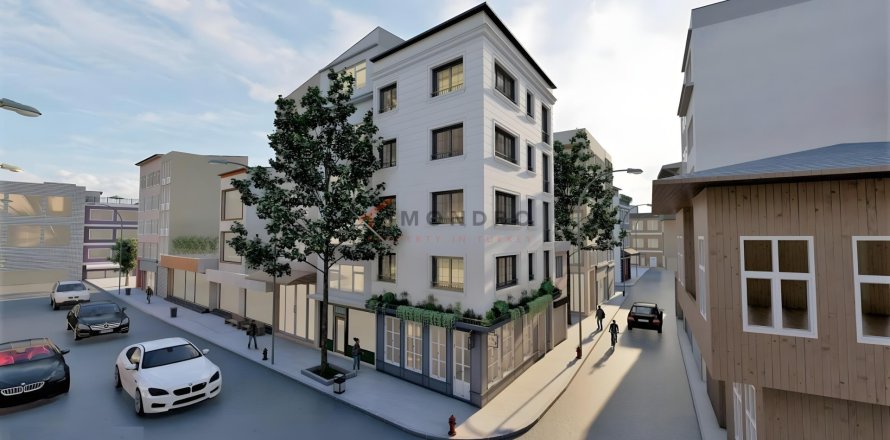 Villa  8+1  Beyoğlu, İstanbul, Türkiye №151654