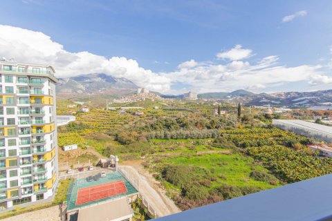 4+1 Lägenhet i Mahmutlar, Antalya, Turkiet Nr. 115948 - 21