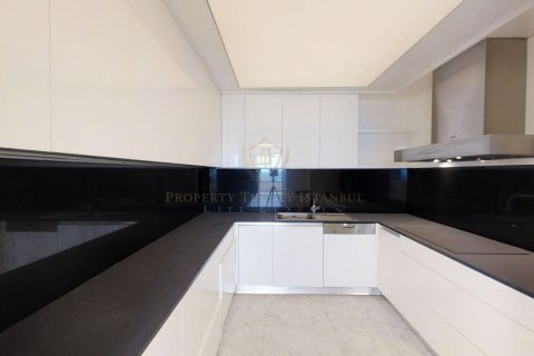 7+1 Takleilighet i Istanbul, Tyrkia Nr. 131169 - 16