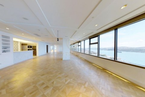 7+1 Takleilighet i Istanbul, Tyrkia Nr. 131169 - 13