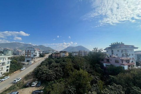   in Oba, Antalya, Türkei Nr. 118791 - 12
