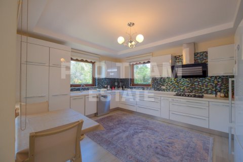 Villa i Dosemealti, Antalya, Turkiet Nr. 210314 - 10