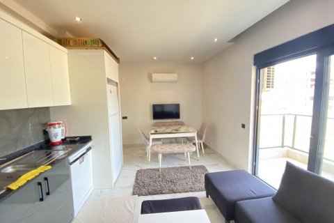 آپارتمان در  Oba ، ترکیه 45 متر مربع.  شماره 153126 - 13