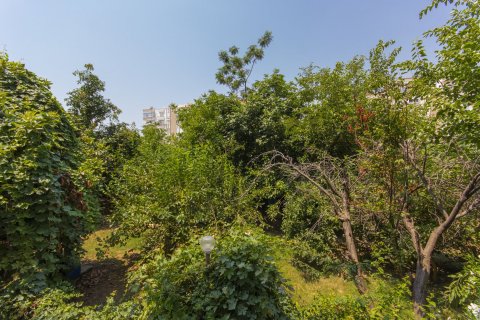 2+1 Lägenhet i Mahmutlar, Antalya, Turkiet Nr. 211247 - 11