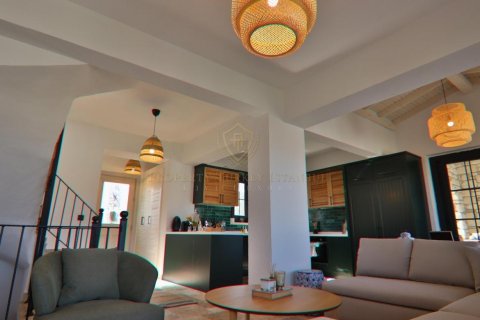 Продажа виллы  в Измире, Турция 1+1, 87м2, №131259 – фото 3