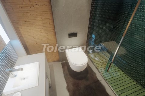 1+1 Wohnung in Aksu, Antalya, Türkei Nr. 135335 - 12