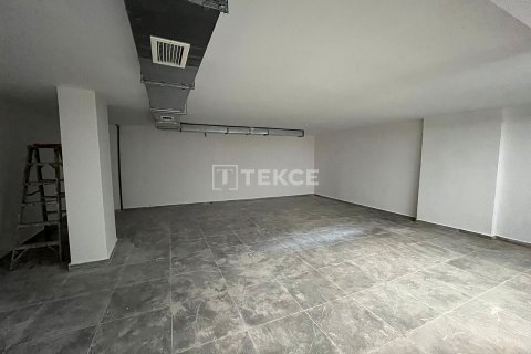 Ticari gayrimenkul   Alanya, Antalya, Türkiye №146777 - 2