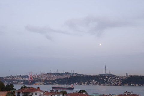45+1 Lejlighed i Istanbul, Tyrkiet Nr. 131301 - 5