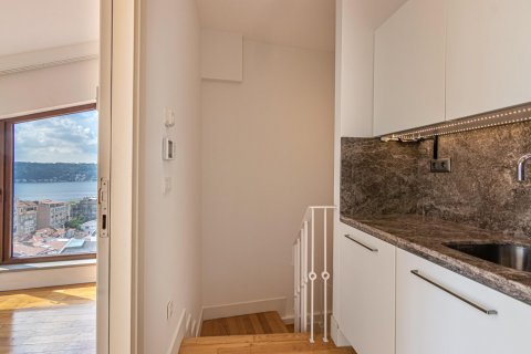45+1 Lejlighed i Istanbul, Tyrkiet Nr. 131301 - 24