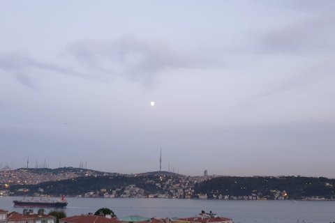 45+1 Lejlighed i Istanbul, Tyrkiet Nr. 131301 - 6