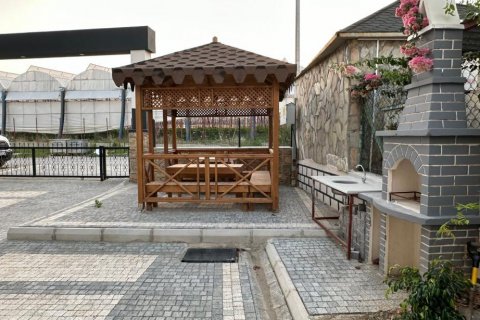 1+1 Leilighet i Avsallar, Antalya, Tyrkia Nr. 115430 - 12