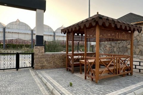 1+1 Leilighet i Avsallar, Antalya, Tyrkia Nr. 115430 - 8