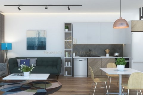 1+1 Lägenhet  i Sisli, Istanbul, istanbul, Turkiet Nr. 147772 - 9