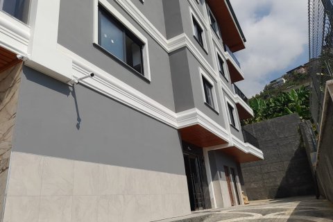 Daire 1+1 Alanya, Antalya, Türkiye №115867 - 10