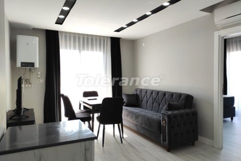 1+1 Wohnung  in Antalya, Türkei Nr. 115866 - 14