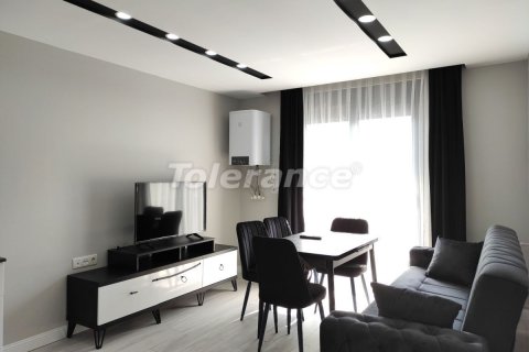 1+1 Wohnung  in Antalya, Türkei Nr. 115866 - 15