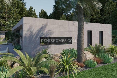 Villa i Urla, Izmir, Turkiet Nr. 120379 - 13