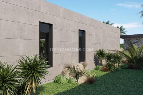 Villa i Urla, Izmir, Turkiet Nr. 120379 - 12