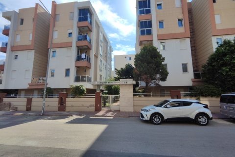 1+1 Leilighet i Antalya, Tyrkia Nr. 211726 - 15