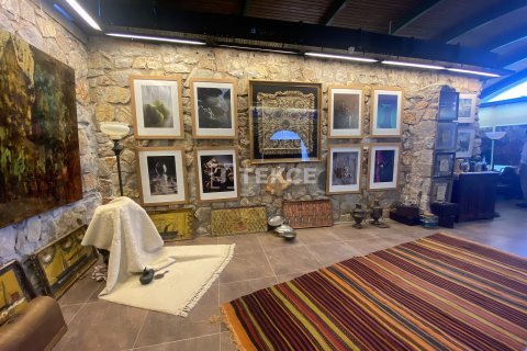 12+5 Villa i Bodrum, Mugla, Tyrkia Nr. 153566 - 23