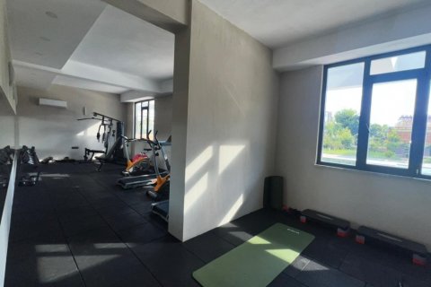 Продажа квартиры  в Тосмуре, Аланье, Анталье, Турция 2 комн., 60м2, №211615 – фото 6
