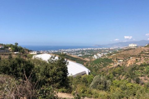 Tomt i Kargicak, Alanya, Antalya, Tyrkia Nr. 147422 - 3