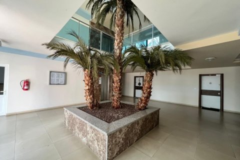 Lägenhet i Cikcilli, Antalya, Turkiet Nr. 206710 - 18